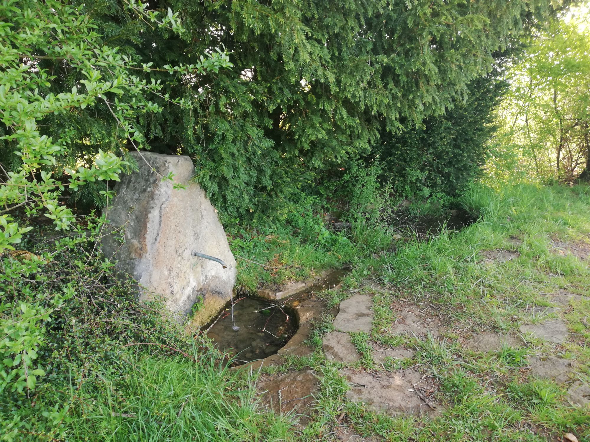 Brunnen auf der Plattach in Gönningen
