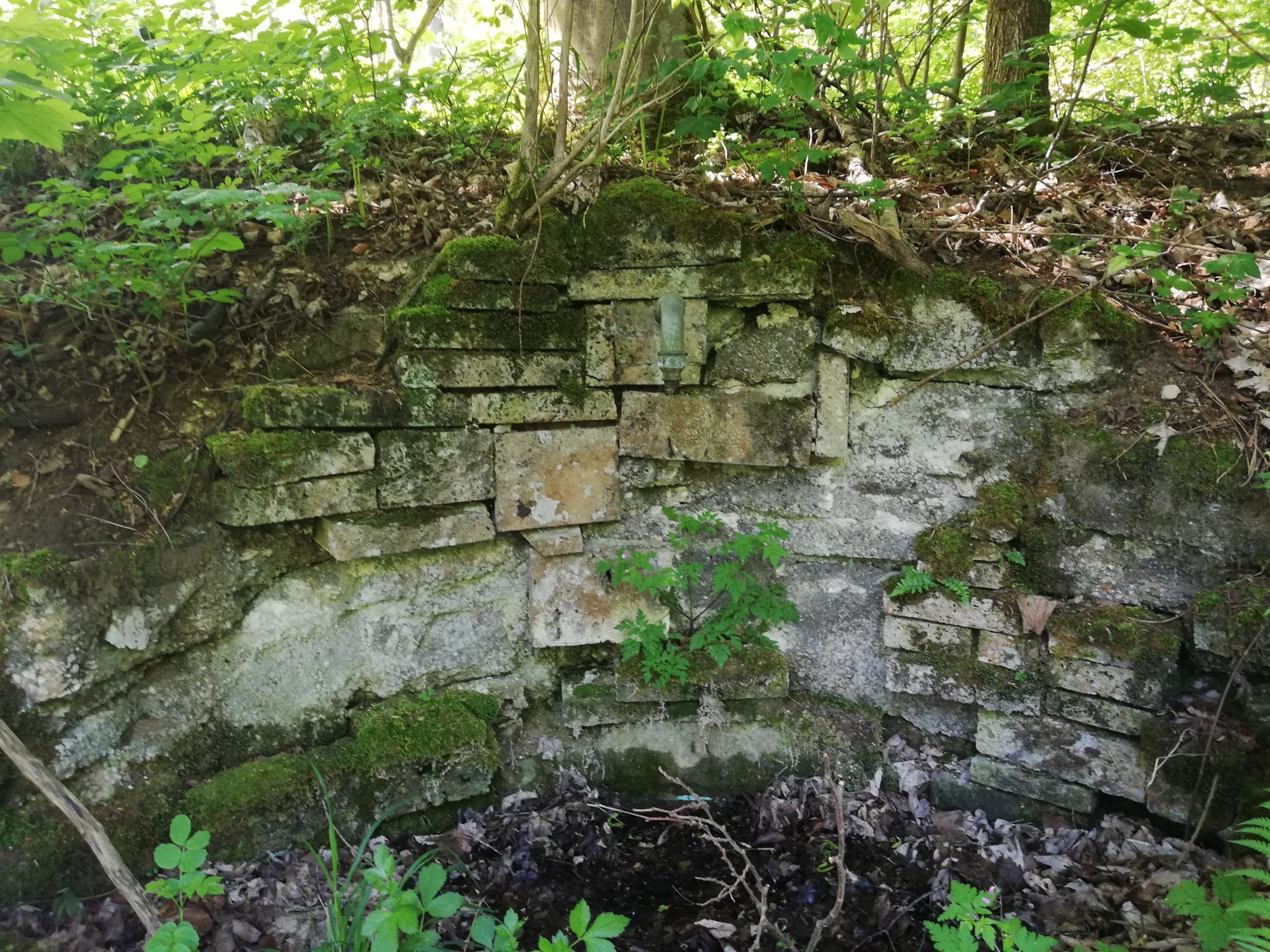 Neubrünnele Gönningen